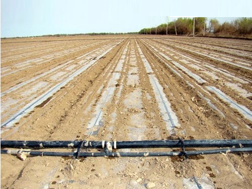 �c(di��n)���鿴Ԕ��(x��)��Ϣ��(bi��o)�}������Ĥ�ιܾW(w��ng)ʩ�� ��x�Δ�(sh��)��5255