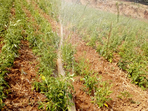 �c(di��n)���鿴Ԕ��(x��)��Ϣ��(bi��o)�}���ֵ؇����� ��x�Δ�(sh��)��5264