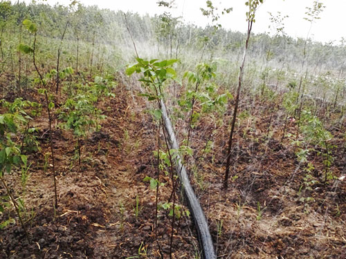 �c(di��n)���鿴Ԕ��(x��)��Ϣ��(bi��o)�}���ֵ؇����� ��x�Δ�(sh��)��5511